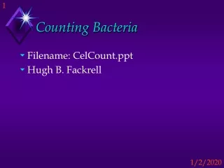 Counting Bacteria