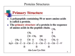 Proteins Structures