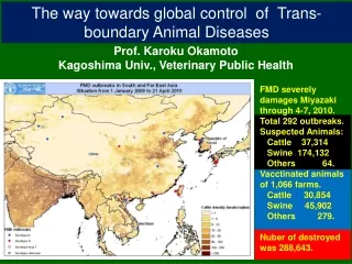 The way towards global control  of  Trans-boundary Animal Diseases