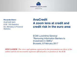 AnaCredit  A zoom lens at credit and credit risk in the euro area