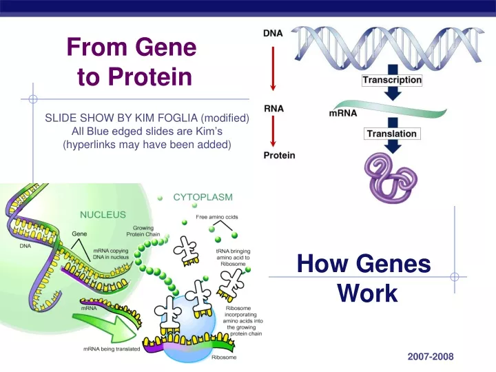 from gene to protein