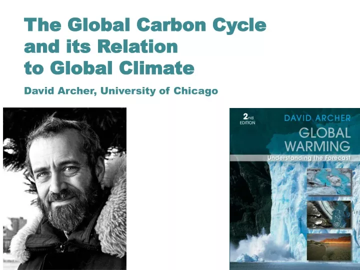 the global carbon cycle and its relation
