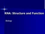 Unraveling RNA: Structure, Function, and Biology - slide 1
