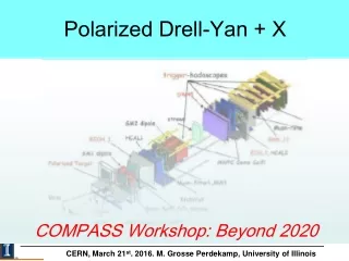 Polarized Drell-Yan + X