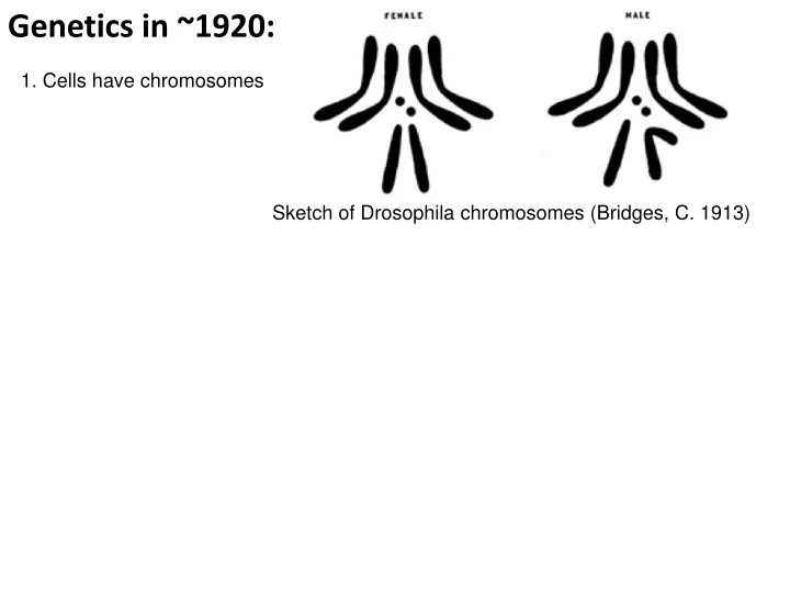 genetics in 1920