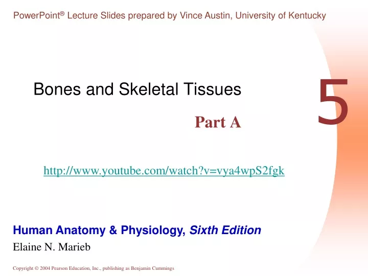bones and skeletal tissues part a