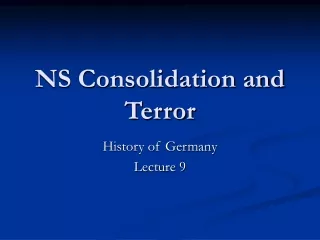 NS Consolidation and Terror