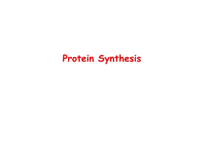 protein synthesis