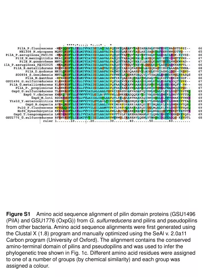 figure s1 amino acid sequence alignment of pilin