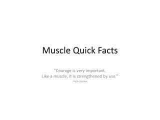 Muscle Quick Facts