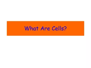 What Are Cells?