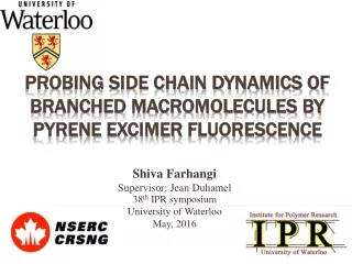 Probing Side Chain Dynamics of Branched Macromolecules by  Pyrene Excimer  Fluorescence