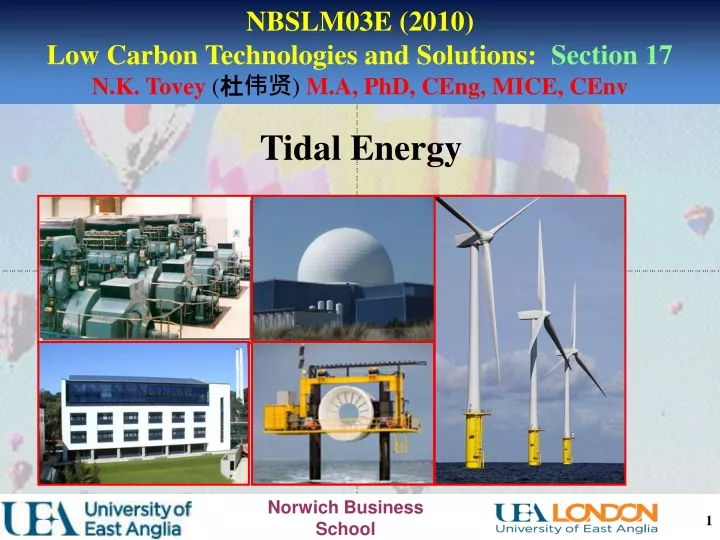 nbslm03e 2010 low carbon technologies