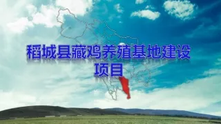 稻城县藏鸡养殖基地建设 项目