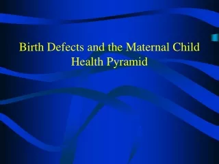 Birth Defects and the Maternal Child Health Pyramid