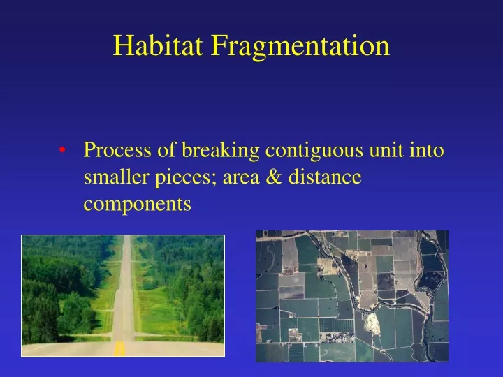 habitat fragmentation
