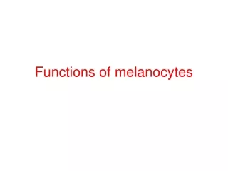 Functions of melanocytes