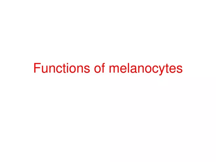 functions of melanocytes