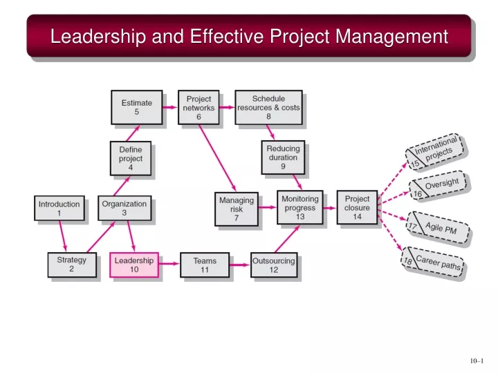 leadership and effective project management