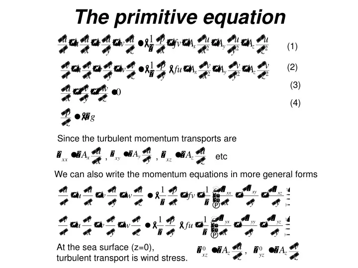 the primitive equation