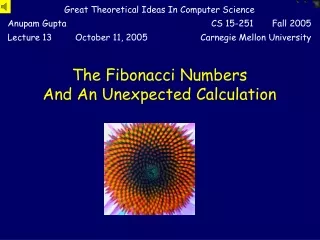 The Fibonacci Numbers  And An Unexpected Calculation