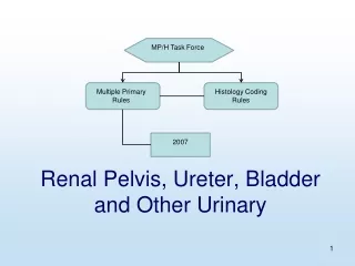 Renal Pelvis, Ureter, Bladder and Other Urinary