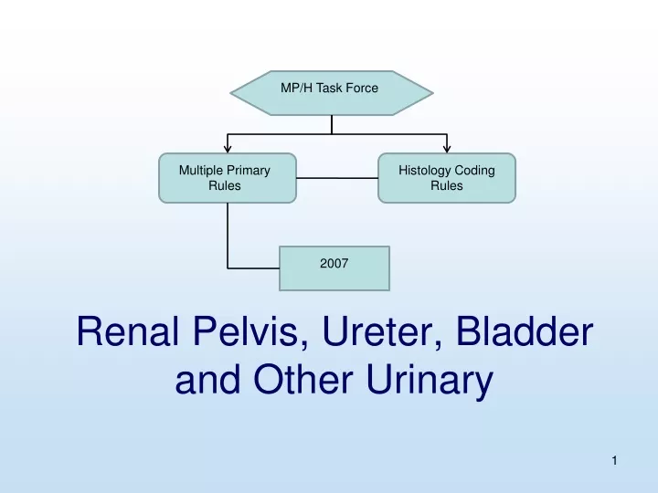 renal pelvis ureter bladder and other urinary