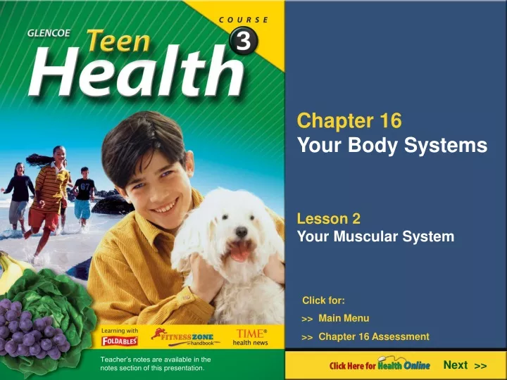 chapter 16 your body systems