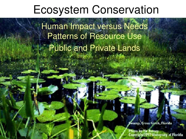 ecosystem conservation