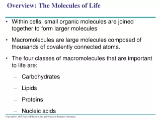 Overview: The Molecules of Life