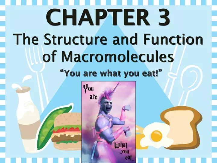 chapter 3 the structure and function of macromolecules