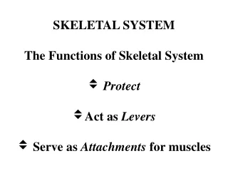 SKELETAL SYSTEM The Functions of Skeletal System Protect Act as  Levers