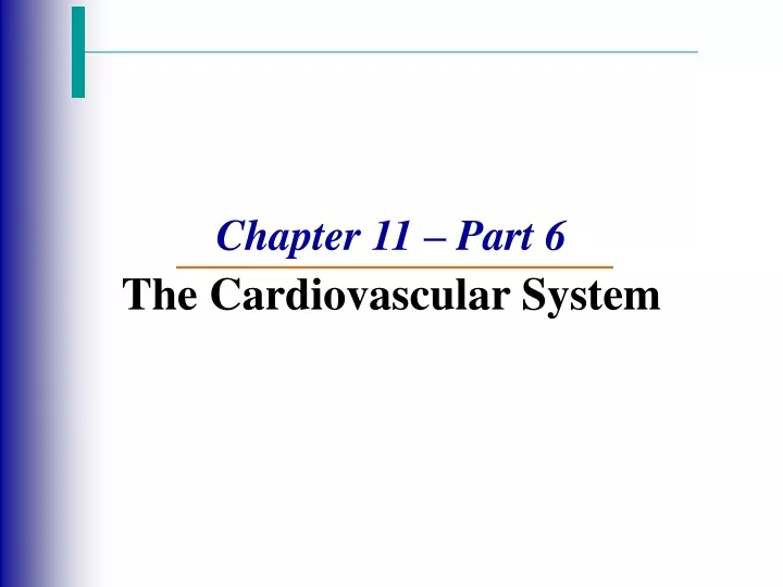 chapter 11 part 6 the cardiovascular system