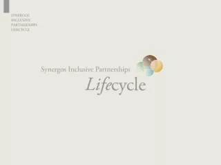 SYNERGOS INCLUSIVE PARTNERSHIPS LIFECYCLE