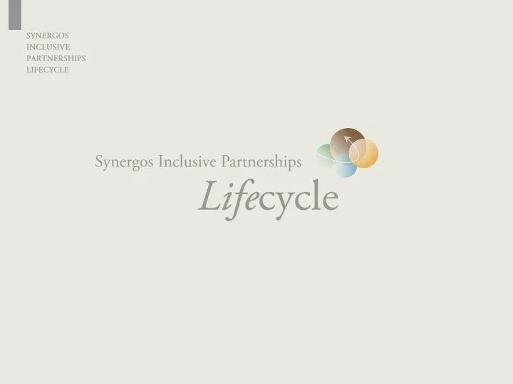 synergos inclusive partnerships lifecycle