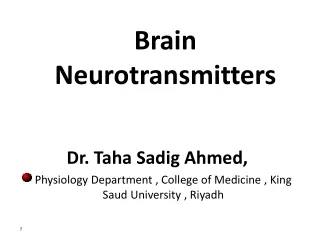 Brain Neurotransmitters