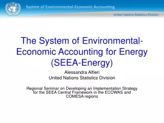 The System of Environmental-Economic Accounting for Energy (SEEA-Energy)