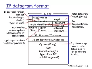 IP datagram format