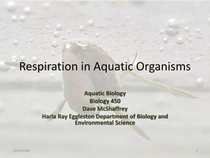 respiration in aquatic organisms