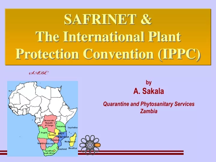 safrinet the international plant protection