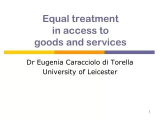 Equal treatment  in access to goods and services