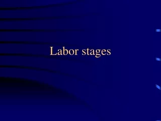 Labor stages