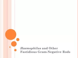 Haemophilus  and Other Fastidious Gram-Negative Rods