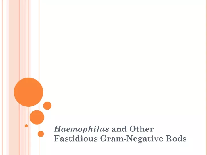 haemophilus and other fastidious gram negative rods