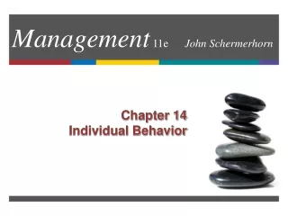 Management  11e 	 John Schermerhorn