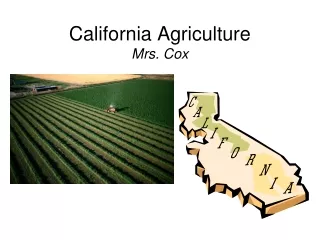 California Agriculture Mrs. Cox