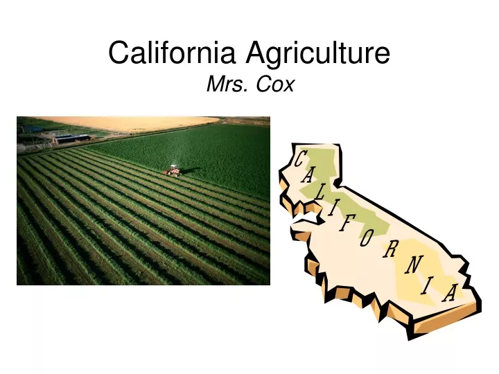 california agriculture mrs cox