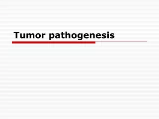 Tumor pathogenesis