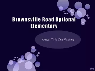 Brownsville Road Optional Elementary
