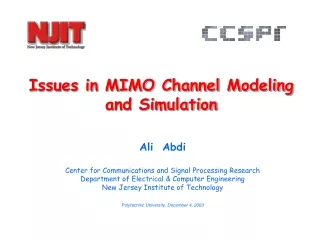 Issues in MIMO Channel Modeling  and Simulation